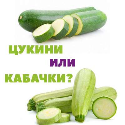Отличия цукини от кабачков