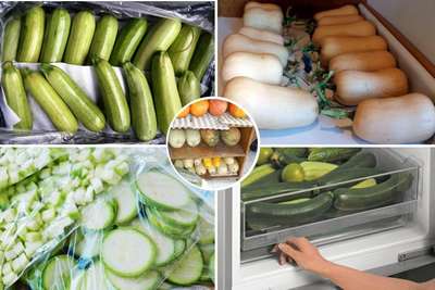 Способы хранения кабачков