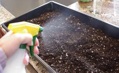 Подготовка земли для рассады в домашних условиях