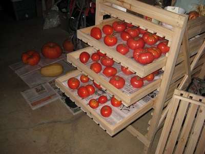 Как сохранить помидоры свежими?