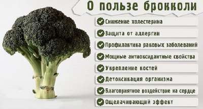 В чем польза и вред брокколи?