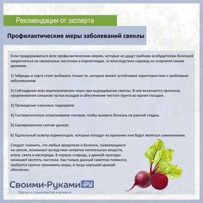 Заболевания свеклы