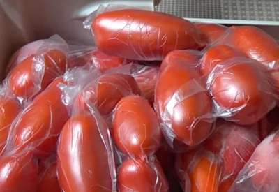 Как сохранить помидоры свежими?