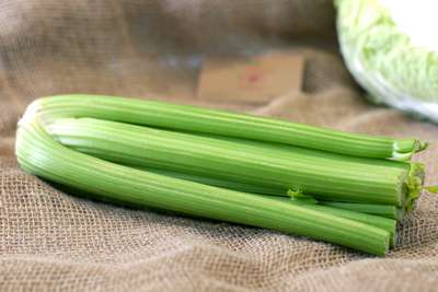 Черешковый сельдерей