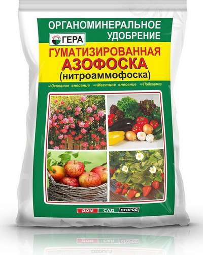 Что за удобрение Азофоска?