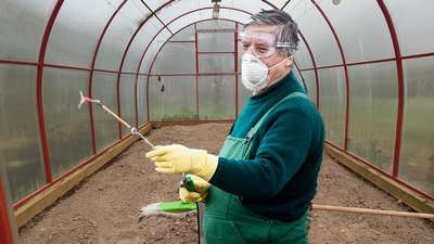 Чем обработать теплицу от фитофторы?