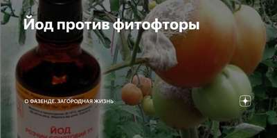 Йод от фитофторы на помидорах