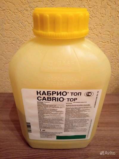 Фунгицид Кабрио Топ