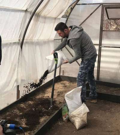 Чем обработать теплицу от фитофторы?