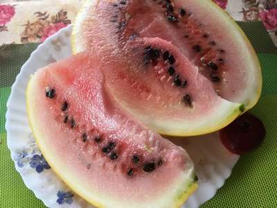 Можно ли есть арбуз с косточками?