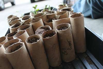 Как сделать стаканчики для рассады?