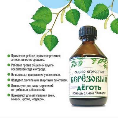 Березовый деготь для огорода и сада