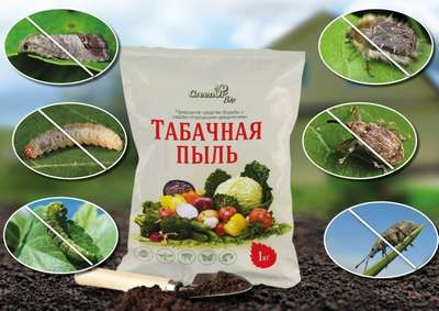 Табачная пыль от вредителей