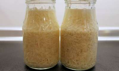 Хранение хрена на зиму