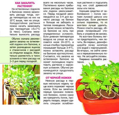 При какой температуре выносить рассаду на балкон?