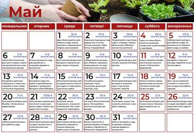 Когда сажать картофель в 2020 году?