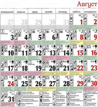 Лунный календарь садоводов огородников на август 2020 года
