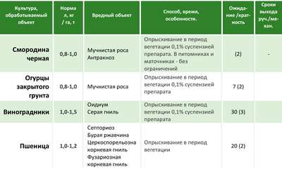 Фунгициды для растений: назначение, применение и список препаратов