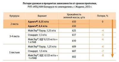 Аденго, КС: инструкция по применению, дозировка, меры безопасности