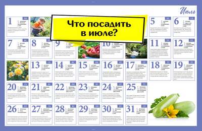 Что сажают в июле?
