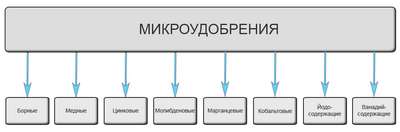 Что такое микроудобрения?