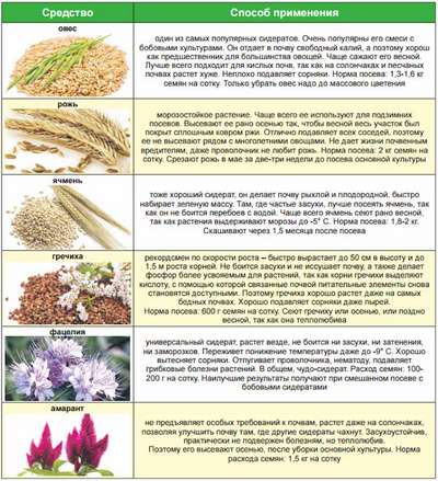 Когда сажать и когда закапывать сидераты?