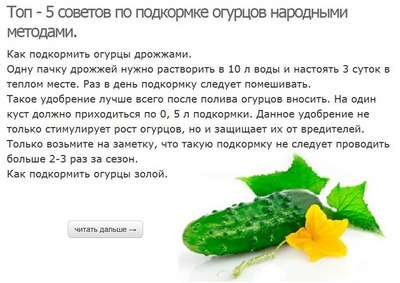 Как подкормить огурцы дрожжами?