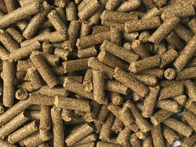 Что такое шрот?