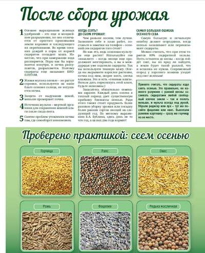 Когда сажать и когда закапывать сидераты?