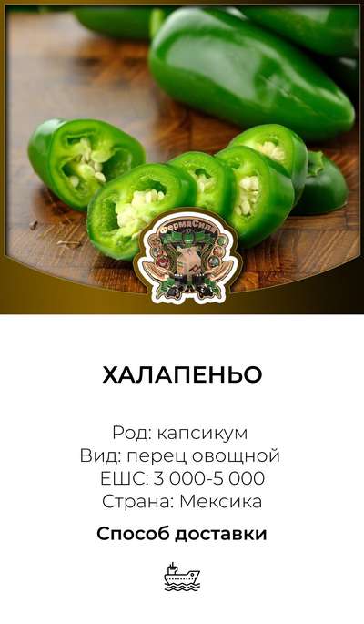 Халапеньо: что это такое, описание и польза