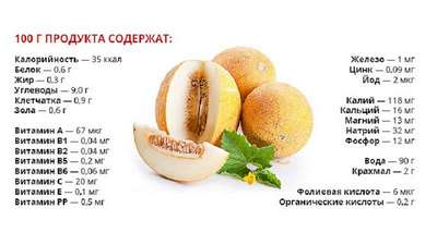 Дыня: описание, состав и польза