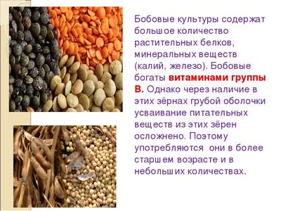 Бобовые растения: виды, список, польза