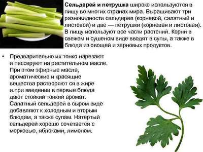 Как употрeбллять сельдерей в пищу?