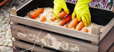 Способы хранения моркови на балконе