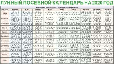 Когда сажать картофель в 2020 году?