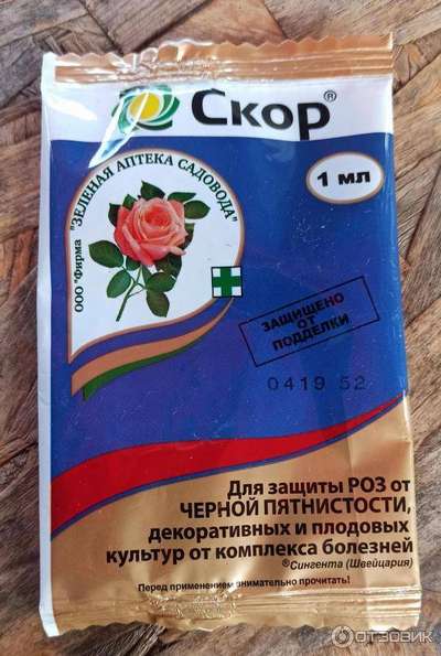 Обзор препарата Скор Фунгицид