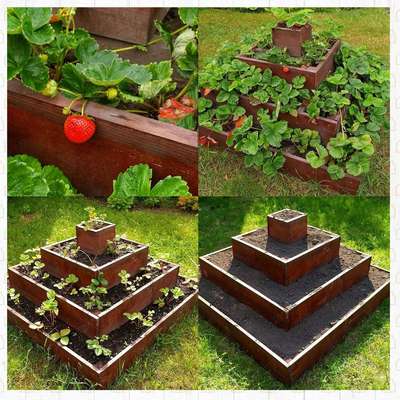 Грядки для клубники: разновидности, как сделать своими руками?