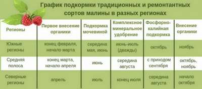 Как и чем подкармливать малину весной?