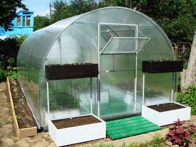 Как сделать теплицу из поликарбоната на участке?