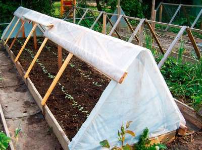 Как самому сделать теплую грядку весной для огурцов?