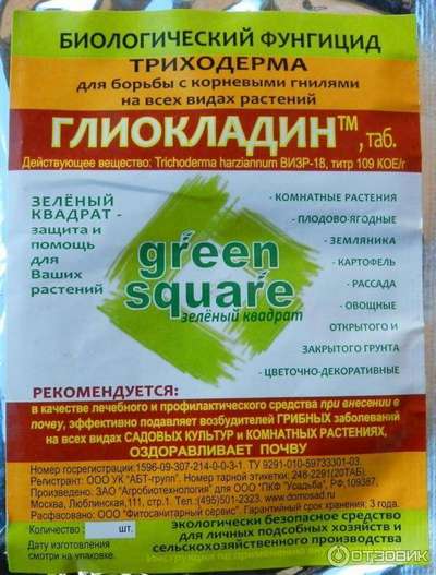 Биологические фунгициды для растений