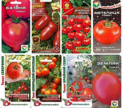 Лучшие сорта томатов для Сибири в теплице