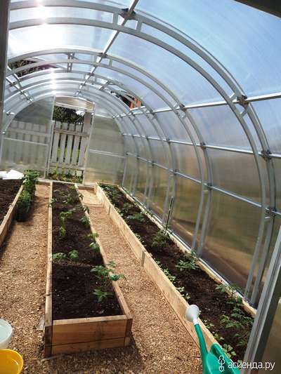 Как можно обустроить теплицу изнутри?