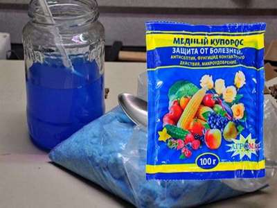 Бордосская жидкость — как сделать лучший фунгицид для растений