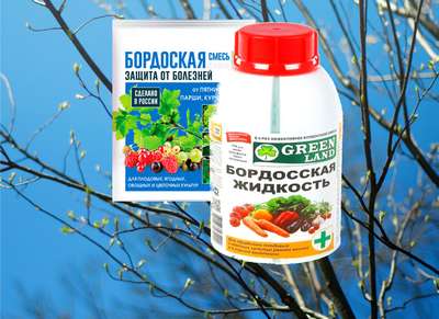 Бордосская жидкость — как сделать лучший фунгицид для растений