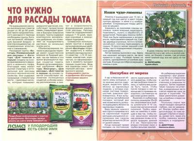 Приготовление грунта для рассады томатов и перцев