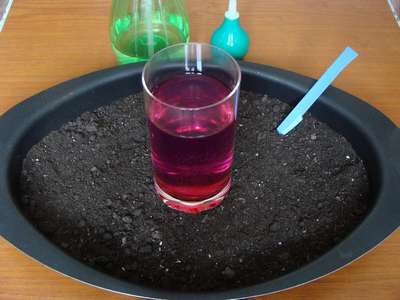 Обеззараживание земли для рассады