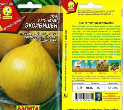 Гигантский лук Эксибишен: описание сорта, выращивание и уход