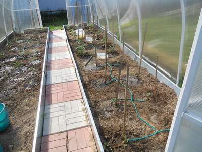 Как сделать капельный полив в теплице?