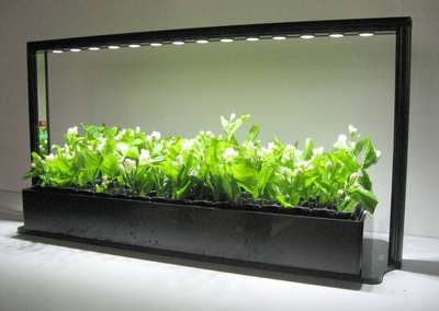 Подсветка для рассады